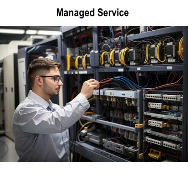 Managed Services Data Entry / Orang